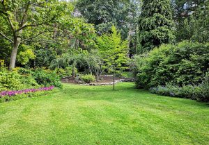 Optimiser l'expérience du jardin à Rocquefort