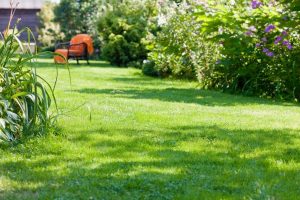 travaux jardin et paysage Rocquefort